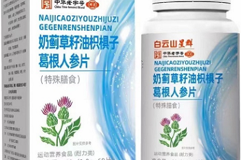 传统文化活动方案探索范文（21篇）